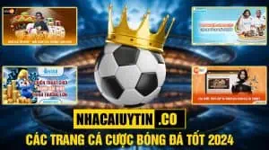 Top các trang web cá banh uy tín nhất VIệt Nam